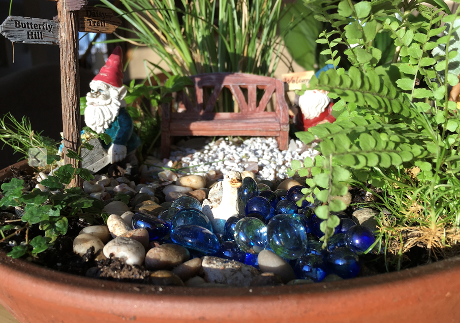 Fairy Garden