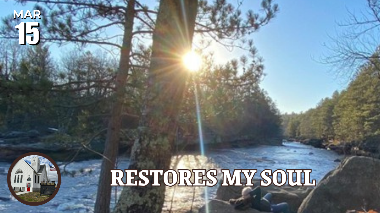 Sunlight through trees